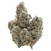 Nugz Florida Oranges 7g Dried Flower