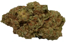 Ripped Hybrid Dried Flower (Rotating)