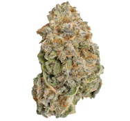 Ripped - Indica Flower (Rotational) (1g)