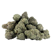 CoCo Thunder 14g Dried Flower