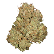 Orchid CBD | Jean Guy CBD | 3.5 g
