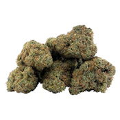 Gasserole (BC 1/4) (7g)