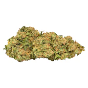 Gorilla Ghost | 7g | 5 Points Cannabis