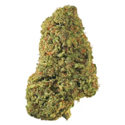Tropicanna 7g Dried Flower