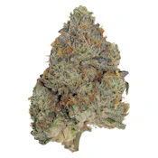 Pistol and Paris - Blue Zushi 3.5g Dried Flower