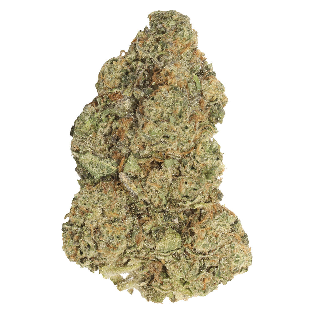 Spiked Mai Tai 7g Dried Flower by Carmel