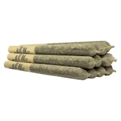 Carmel Spiked Mai Tai Pre-Roll 10x0.5g Pre-Rolls