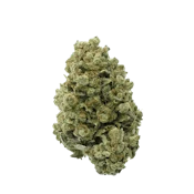 Star Chase  28g