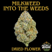 Milkweed - 7g