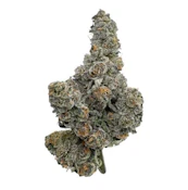 Gastro Pop Hybrid Flower - 14g