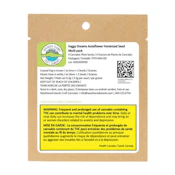 Foggy Dreams Auto Seed Multipack - 4pk