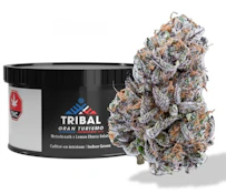 Tribal - Gran Turismo 3.5g Dried Flower