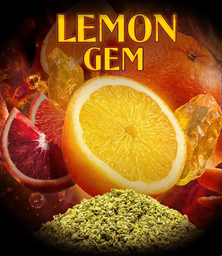 Lemon Gem 14g Milled Flower