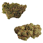 Rotating Duo (3.5g x 2) - BOLD