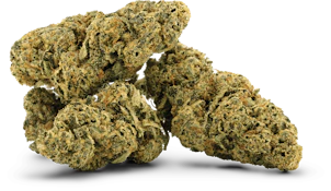 Hindu Kush 3.5g