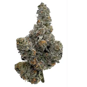 AMANI CRAFT | GASTRO POP | 14G