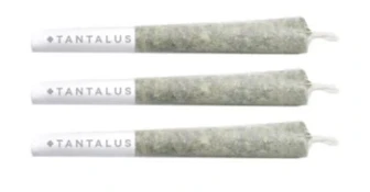 MORE COWBELL PRE-ROLLS - 1.5