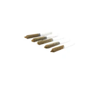 TROPICAL STORM INFUSED PRE-ROLLS - 2.5