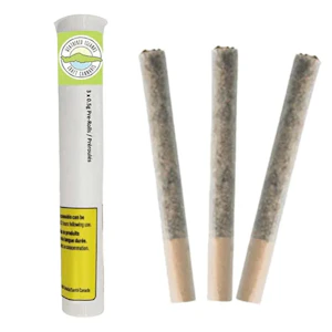 Weathered Islands Craft Cannabis - Coastal Fog Pre-Rolls LTO | 3x0.5g | Elevate
