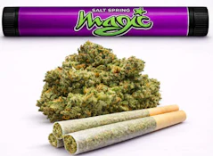 Magi - Pine Tar (3x0.5g)