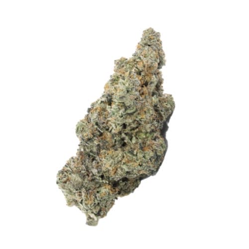 Fourteen - RC Supply Co Exclusives - 14g