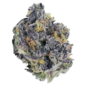 Alien Cookies x Kush Mints (Chubby Nuggies)