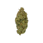 7g Moby Dick
