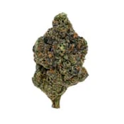 1964 - GASOLINA - 7G