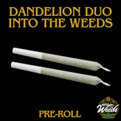 Dandelion Duo - 2 x 1g