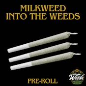 Milkweed - 3 x 0.5g