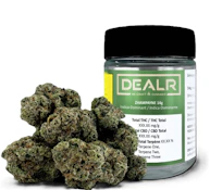 DEALR - Zhampayne (14g)