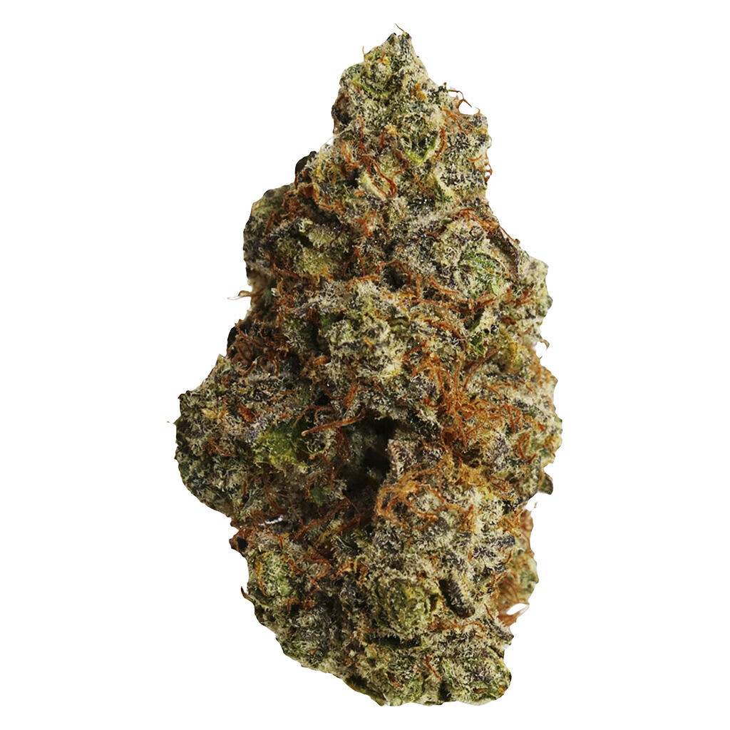 FLHIGH - Johnny Cage - 7g
