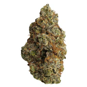 Johnny Cage | 7g | FLHIGH