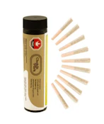 Royal Caramel 10 X 0.5G