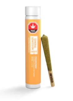 General Admission - Peach Rizz Infused 1 x 1G Main Image