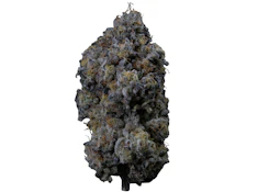 PINE MENTZ ORGANIC PREMIUMS (LTO)