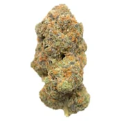El Chapo 4x0.75G