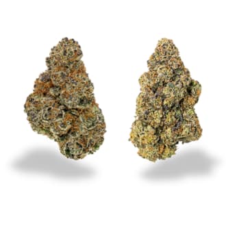 Bubble Bath or Swampwater Fumez  - RC Collectives - 7g