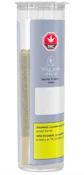 T.M.T SATURN INDICA PRE-ROLLS