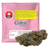Pedro's Prima Sativa 7g Dried Flower