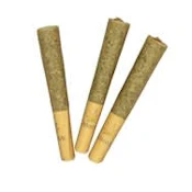 CINDY JACK PRE-ROLLS - 1.5
