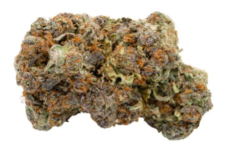 KOOTENAY QUANTUM | KQ JAGER - 28