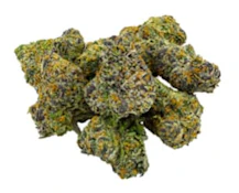 SITKA | TAHITI PUNCH CRAFT SML 3.5g