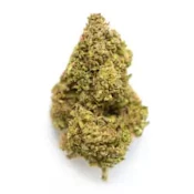 Raspberry Glue (14g) - daydream