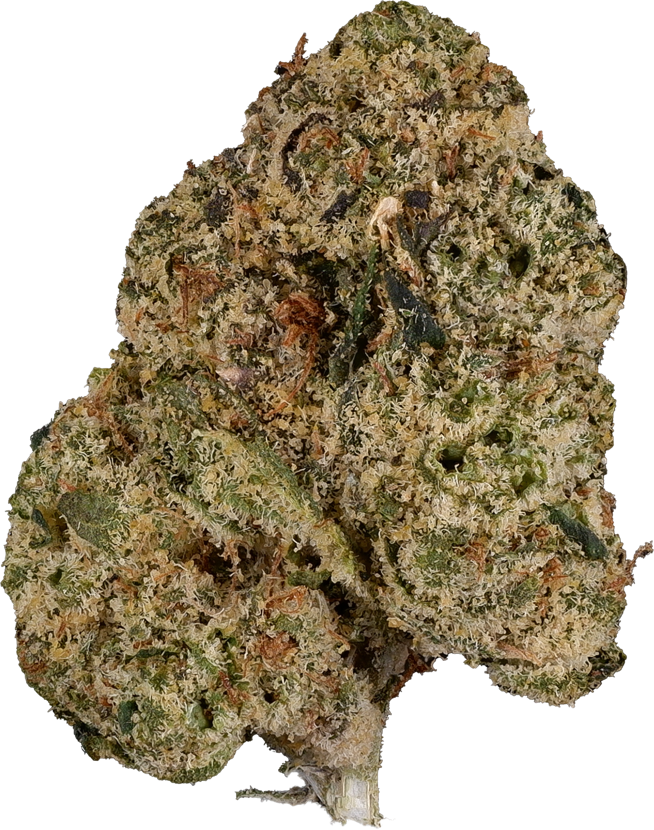 TWIGZ -  Blue Zushi | 3.5g
