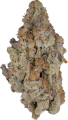 Cultures Chloris - Truffaloha | 7g