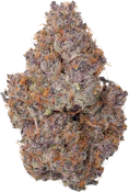 Cultures Chloris - Pineapple Pez | 7g