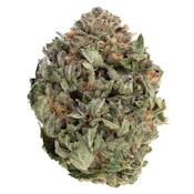 Comatose 3.5g Dried Flower