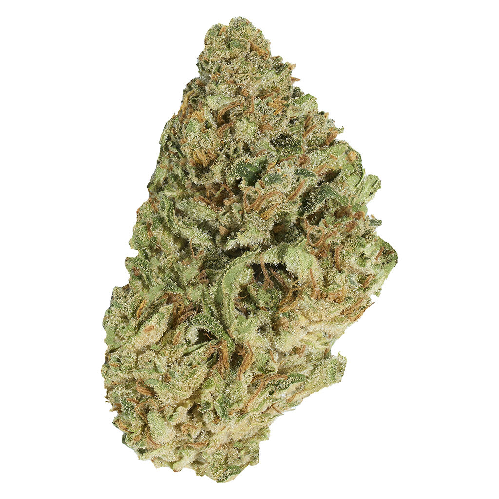 Jean Guy 7g Dried Flower