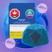 MOONLIT BERRY - WANA - 10 PACK